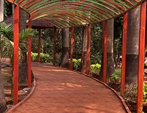 Walking Park Surrounded by Plants