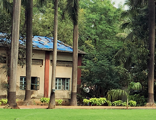 Lush Green Garden