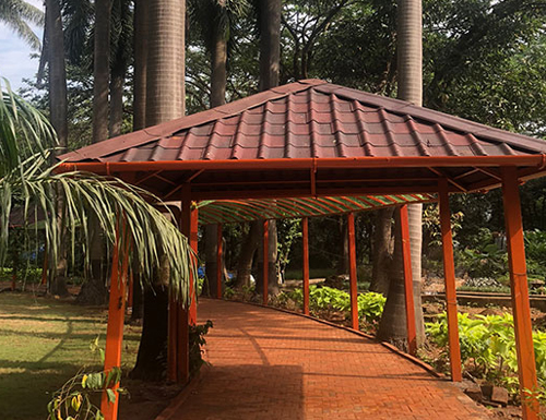 Walking Park Surrounded by Trees