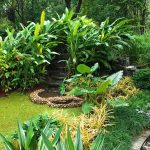 Beautiful Fountain in the Garden